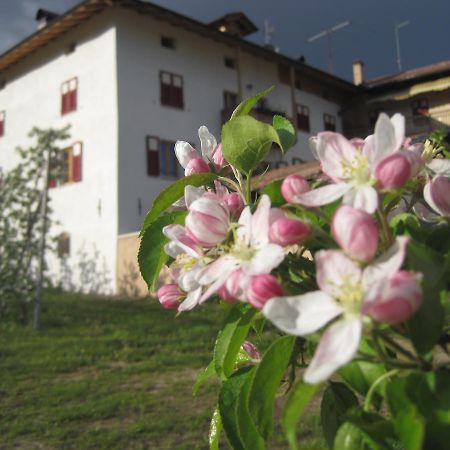 Agritur Maso San Bartolomeo Villa Romeno Eksteriør bilde