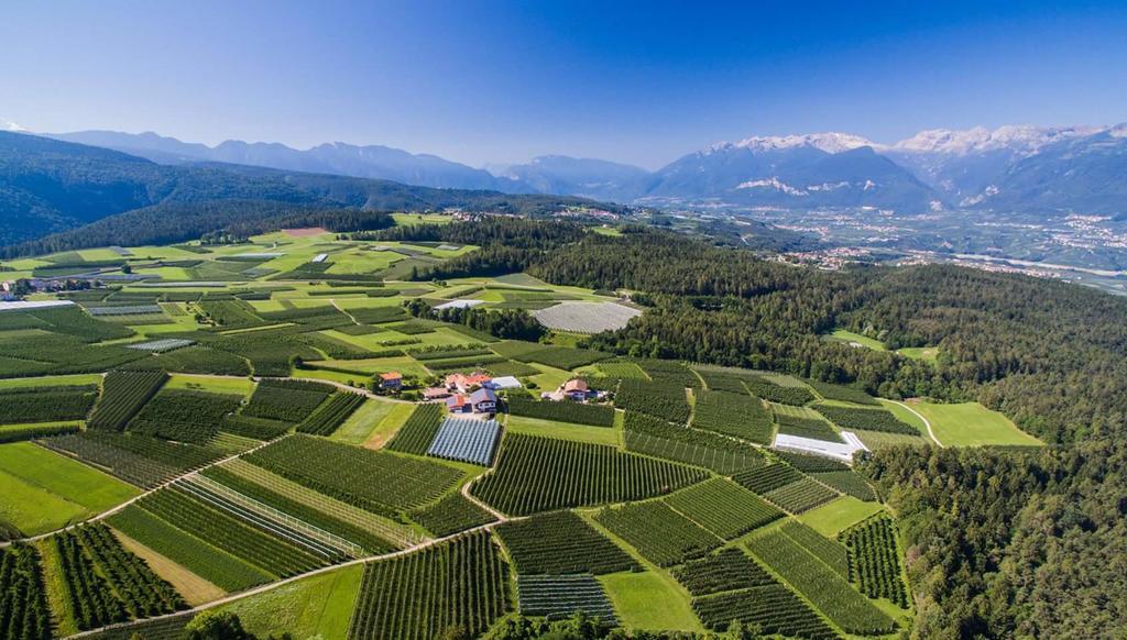 Agritur Maso San Bartolomeo Villa Romeno Eksteriør bilde