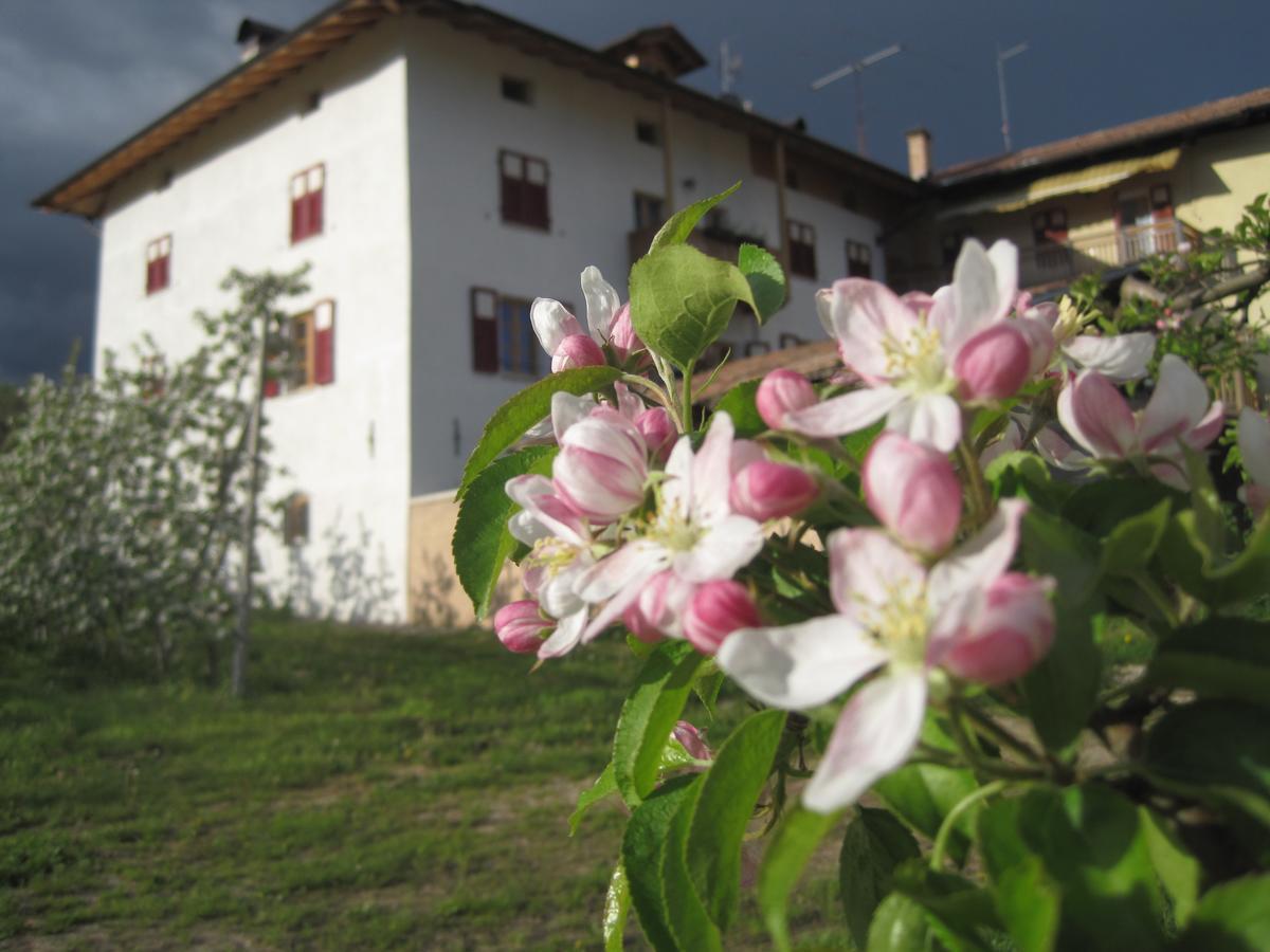 Agritur Maso San Bartolomeo Villa Romeno Eksteriør bilde